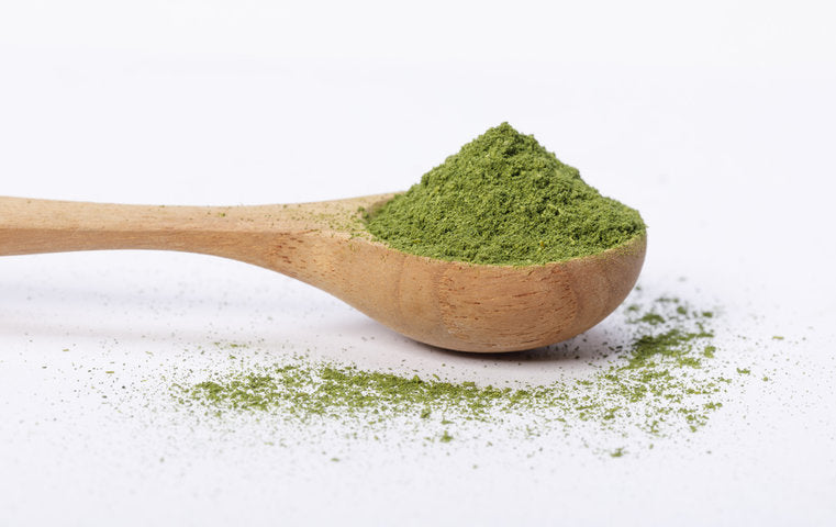 Wooden spoon holding green powder on white background