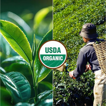 BENBU Organic Matcha - Premium 100% Organic Japanese Matcha Powder 100g Bag